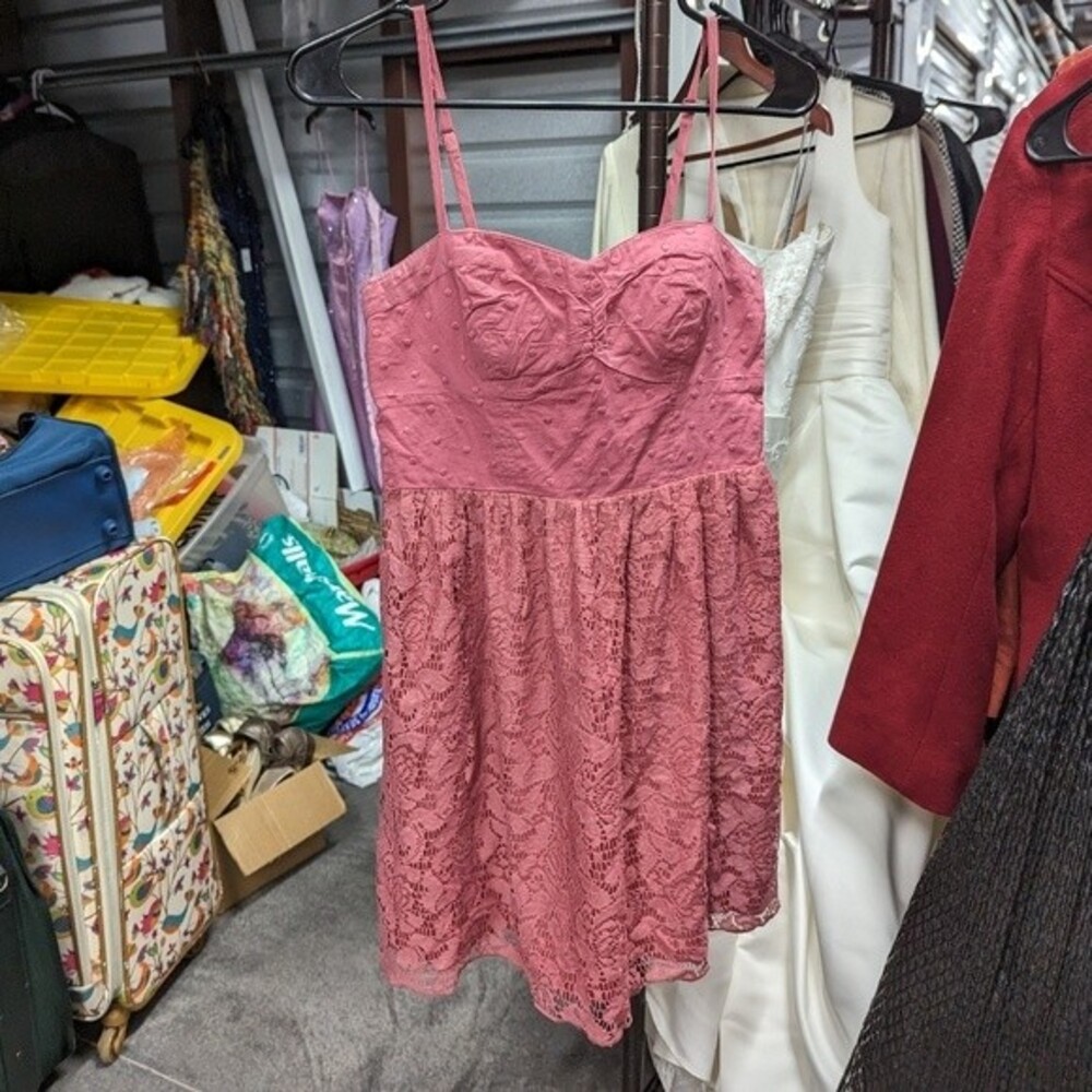 American Eagle‎ Small Pink Polka Dot Lace Mini Dress